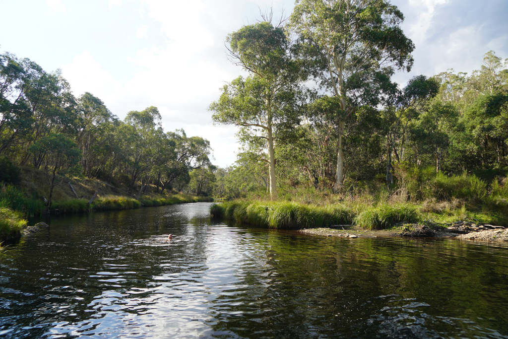 Im Big River beim Jokers Flat Campground wird ein kühles Bad genommen...