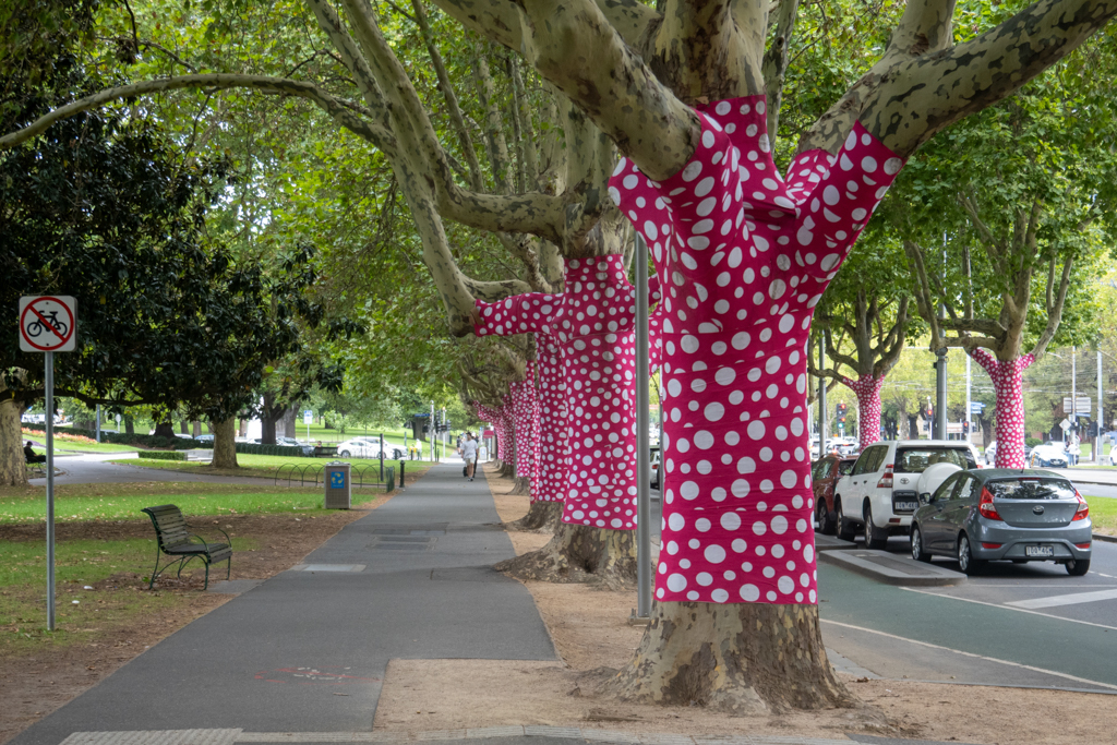 Auch die Platanen vor der NGV werden zur Yayoi Kusama Ausstellung verziert..