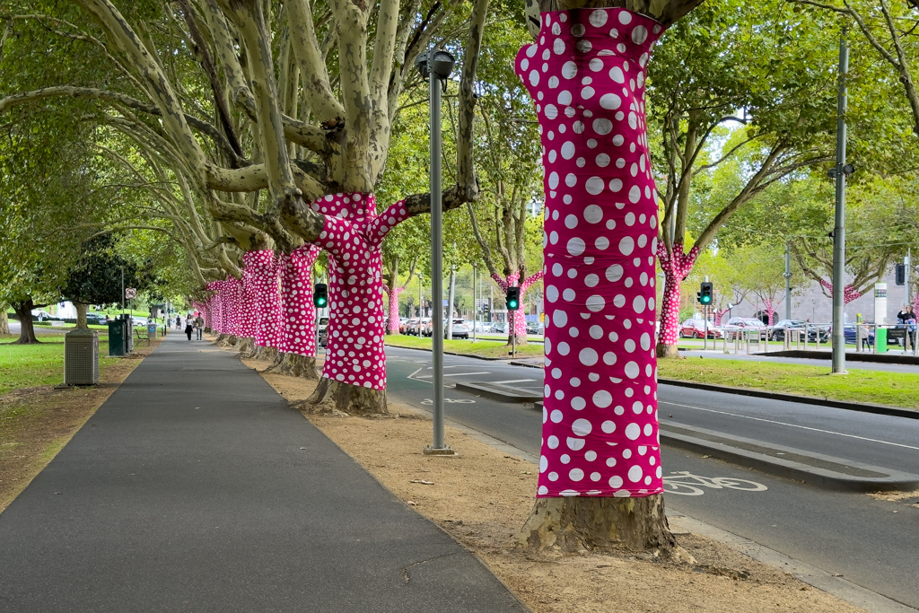 Auch die Platanen vor der NGV werden zur Yayoi Kusama Ausstellung verziert..