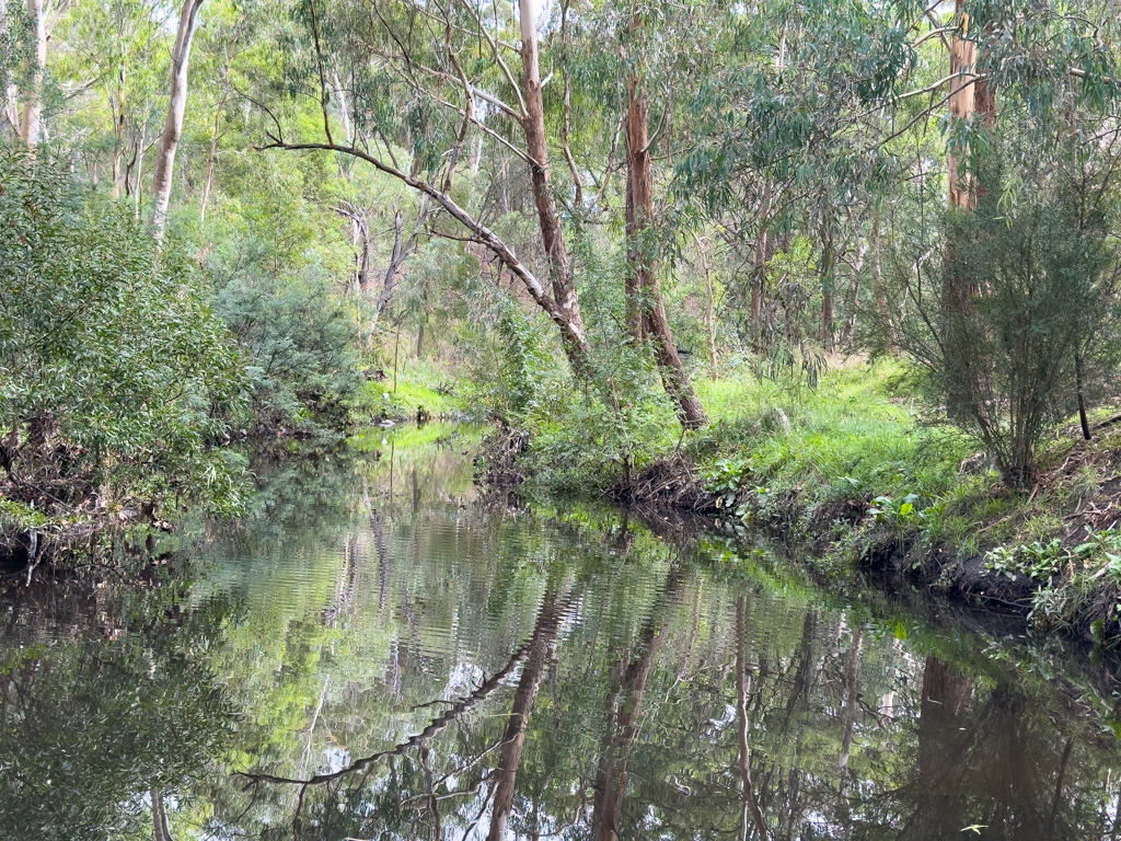 Durch den Park fliesst der ruhige, noch naturbelassene Darebin Creek...