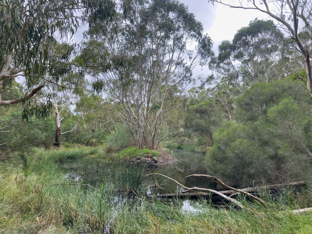 Naturbelassende Landschaft im Darebin Erholungspark