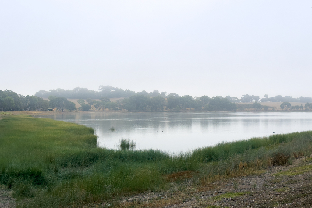 Graue Morgenstimmung am Green Hill Lake