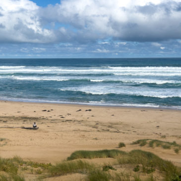 Sandwanderung