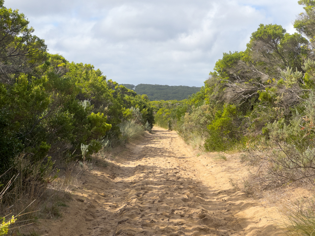 Sandwanderweg durch die Dünen...