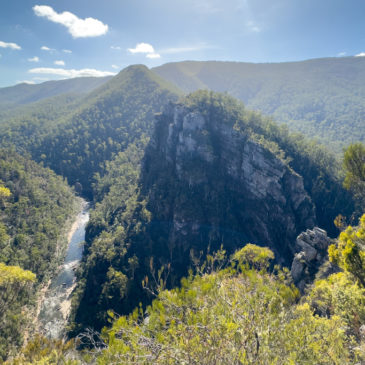 Ankunft in Tassie