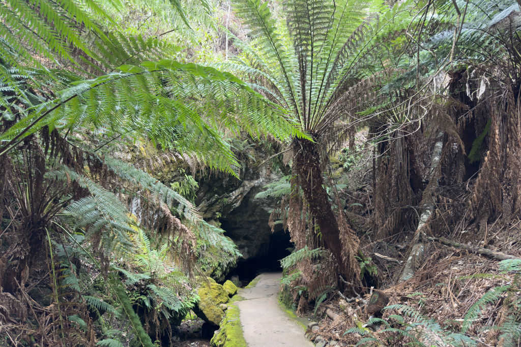 Eingang zur Marakoopa Cave. Wir kommen uns vor wie im Urwald...