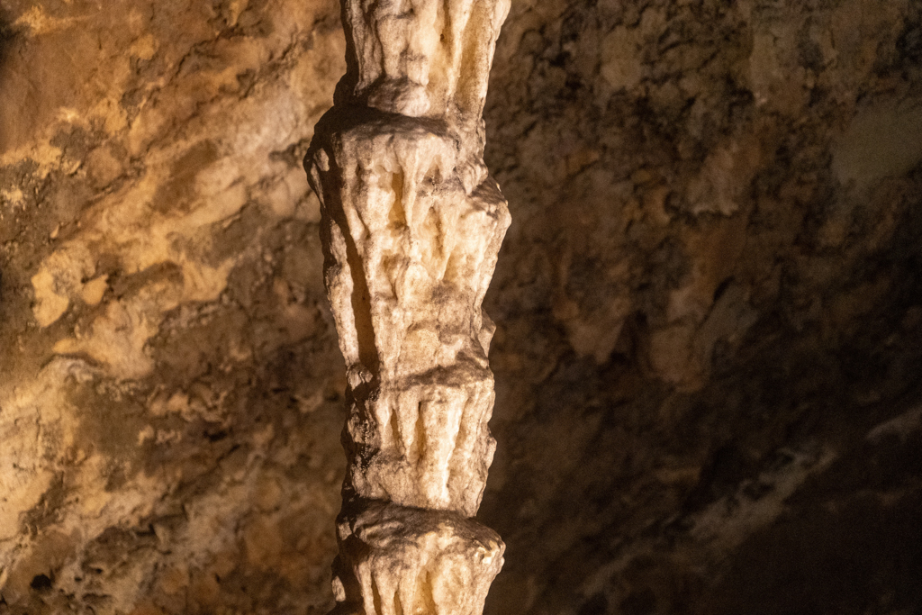 Detailaufnahme des "Palmenstamms"