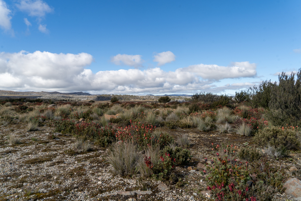 Oben auf dem Plateau unterwegs zum Teufelsschlund, dem Devils Gulloch