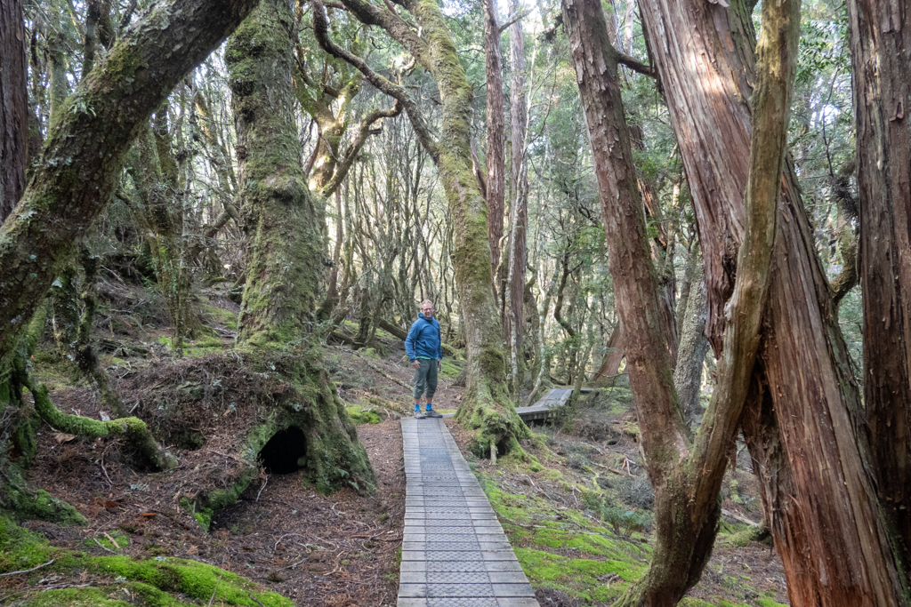 Wir machen einen ersten kleinen Spaziergang und kommen uns vor, wie in einem Zauberwald