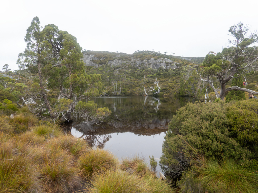 Wombat Pool, einer der vielen kleinen Seen auf unser Wanderung - fast wie in einem Zen Garten!