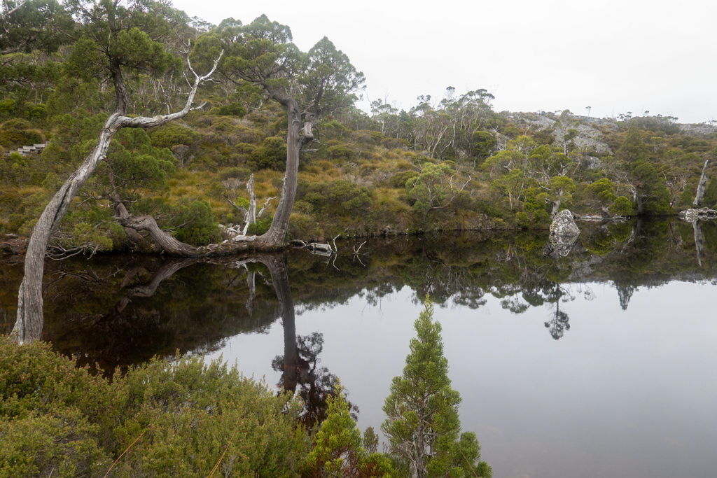 Wombat Pool, einer der vielen kleinen Seen auf unser Wanderung - fast wie in einem Zen Garten!