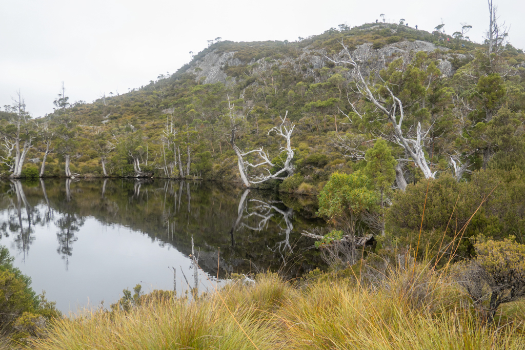 Wombat Pool, einer der vielen kleinen Seen auf unser Wanderung - fast wie in einem Zen Garten!