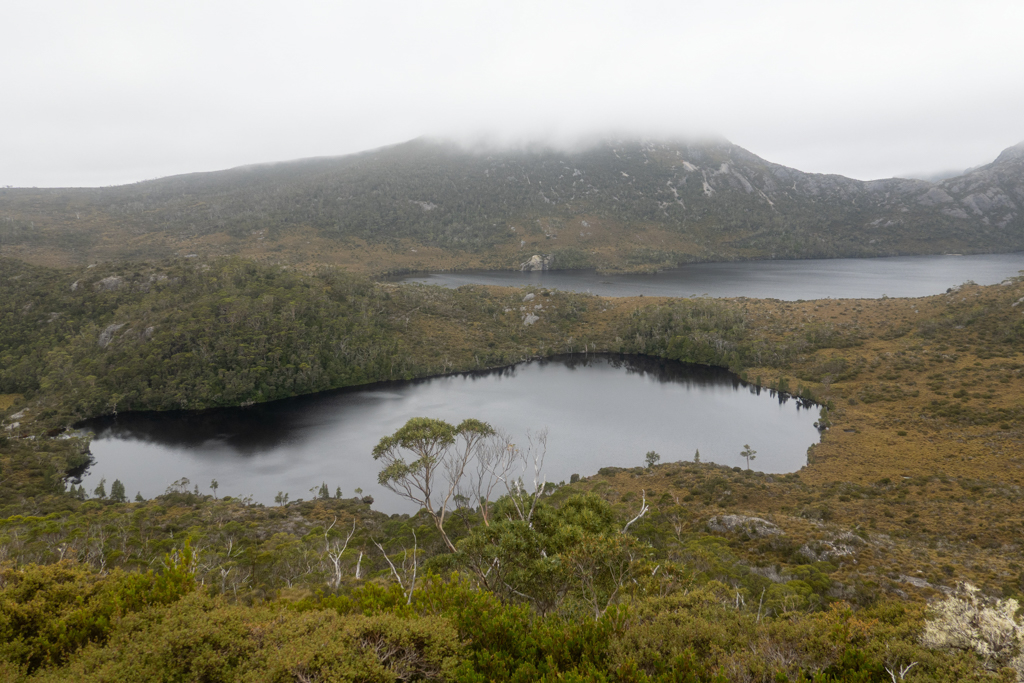Wir sehen vorne Lake Lilla, hinten den grösseren Dove Lake, drumherum die Cradle Mountains...