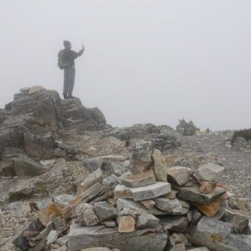 Aussichtslose Wanderung in den Cradle Mountains