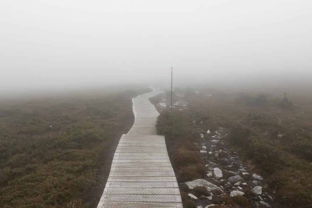 Ein nebeliger Wandertag durch und durch...