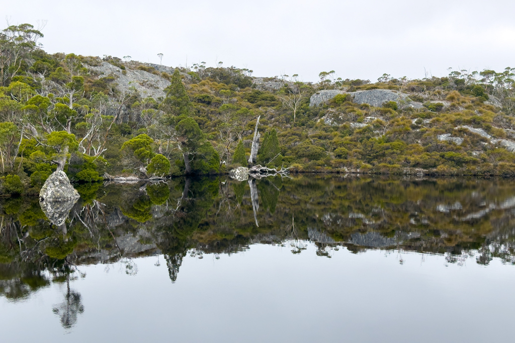Wombat Pool, einer der vielen kleinen Seen auf unser Wanderung - fast wie in einem Zen Garten!