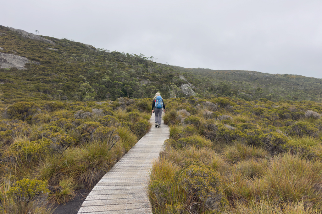 Mit Ma auf dem Wanderweg durch die fragile Natur im Cradle Mountains Nationalpark