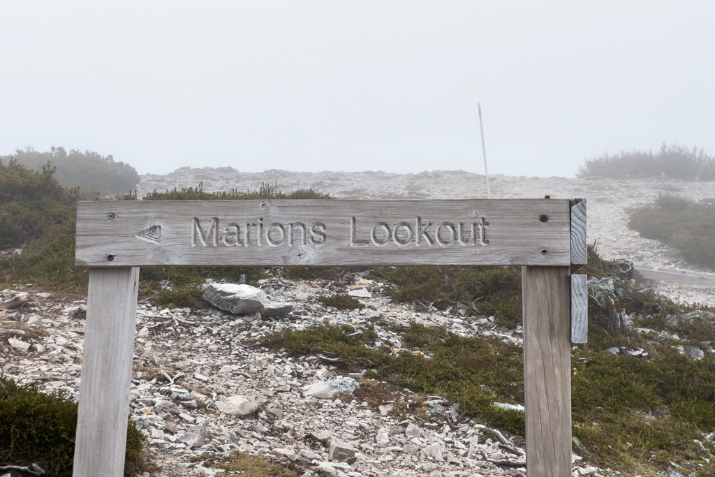 Auf zum Marions Lookout, vielleicht sehen wir ja was...