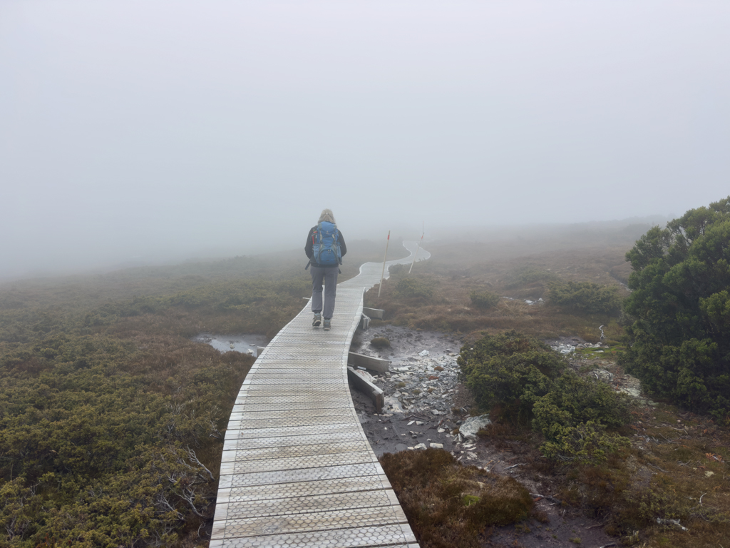 Ein nebeliger Wandertag durch und durch. Der hölzerne Wanderweg schützt die fragile Natur der Cradle Mountains