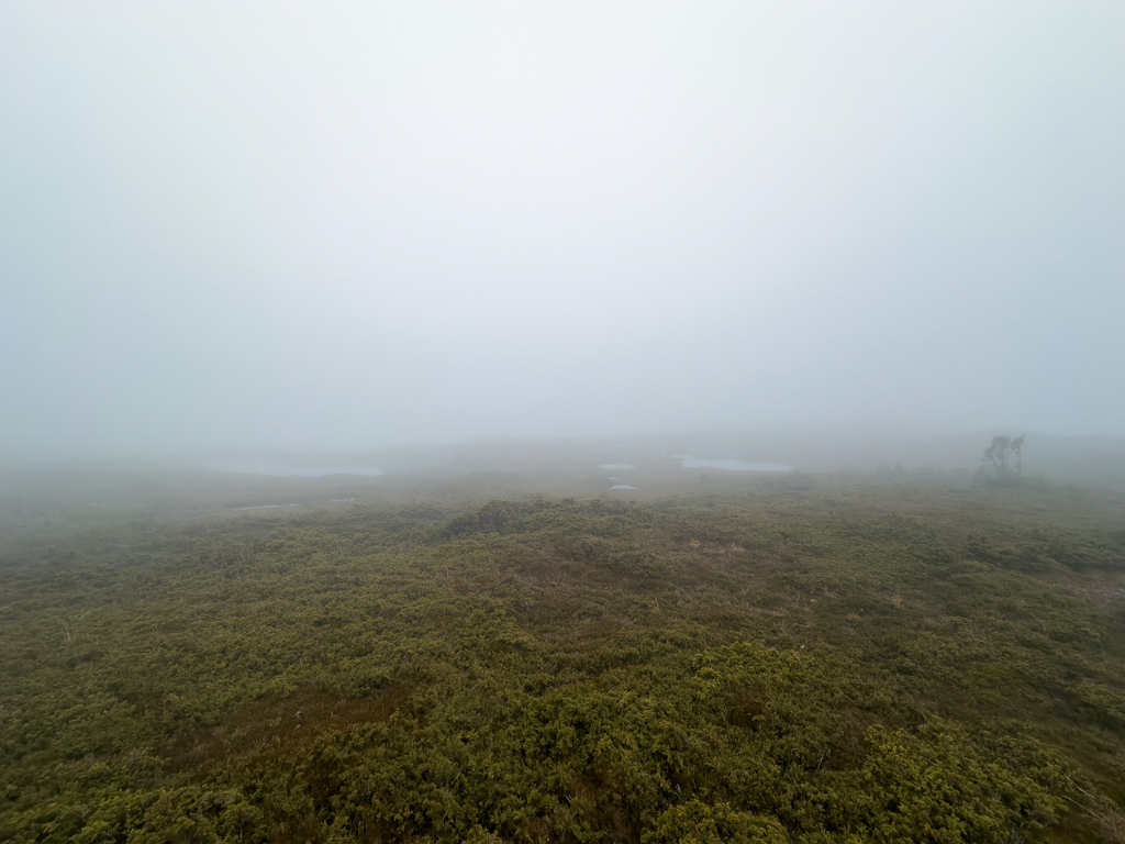 Ein nebeliger Wandertag durch und durch.