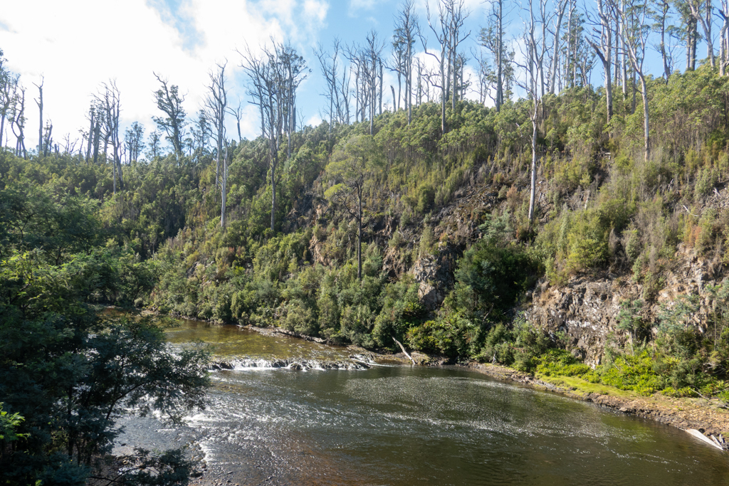Unter der Tayatea Bridge fliesst der Arthur River hindurch - wir schauen flussaufwärts