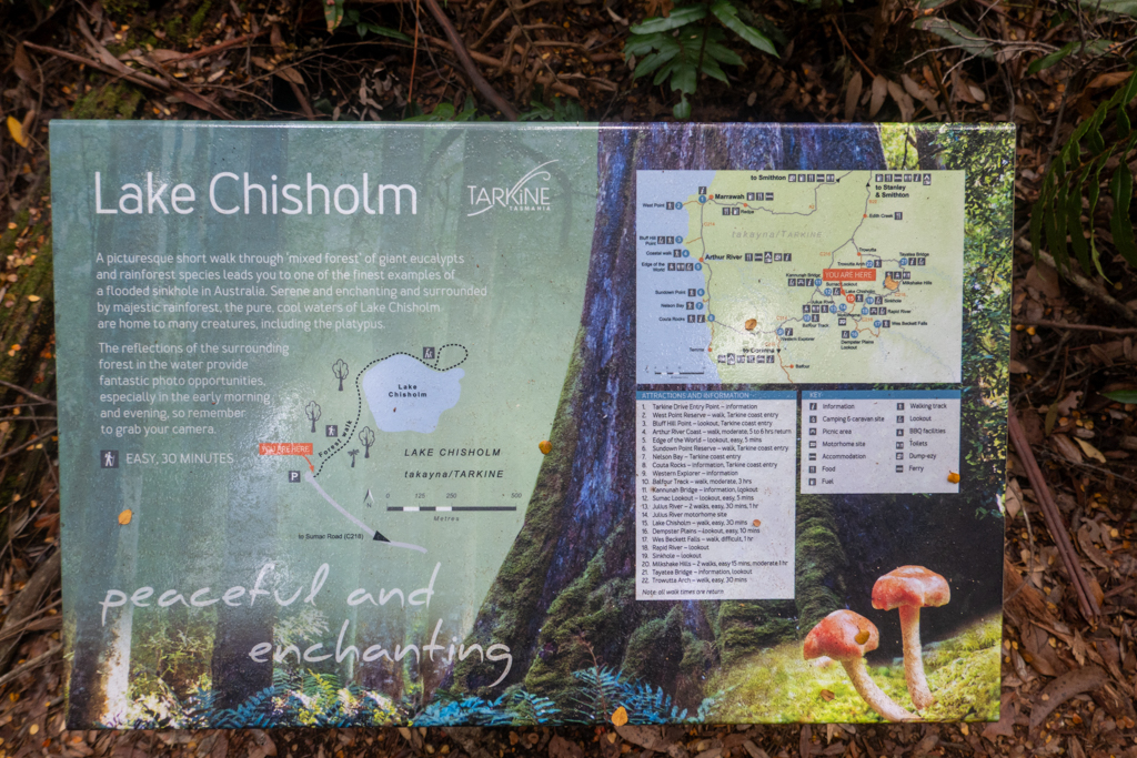 Lake Chisholm, ein weiterer Höhepunkt auf dem Tarkine Drive...