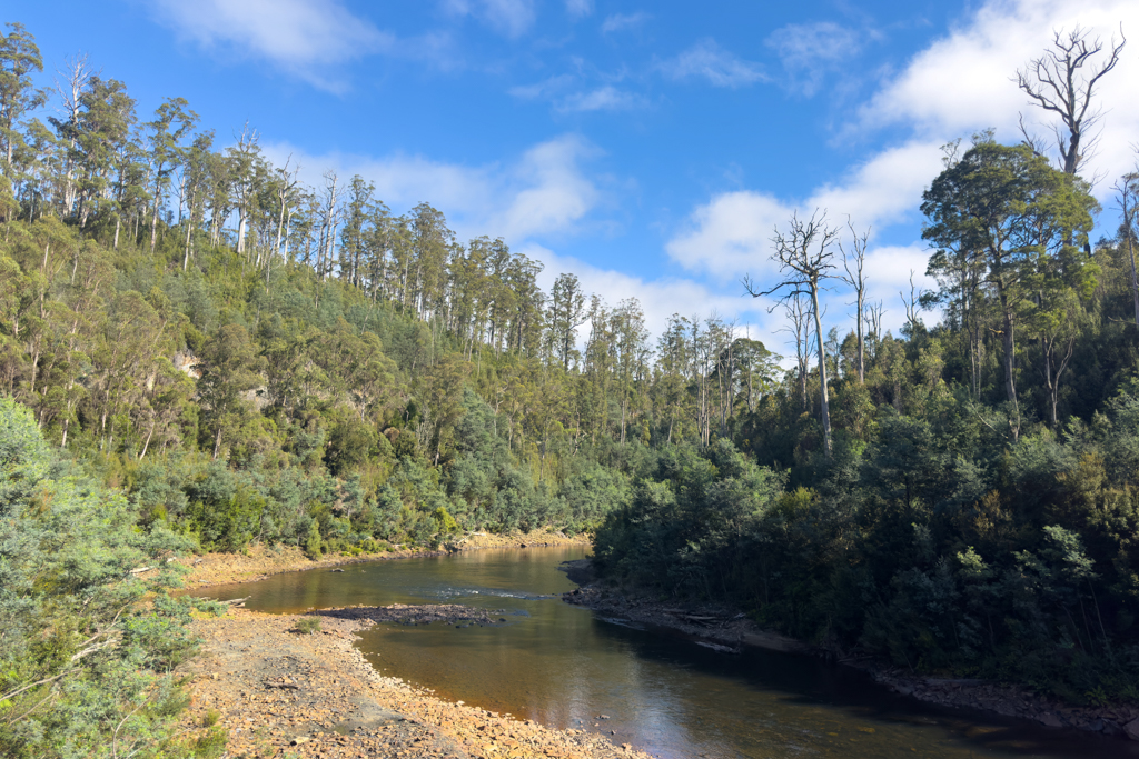 Unter der Tayatea Bridge fliesst der Arthur River hindurch - wir schauen flussabwärts