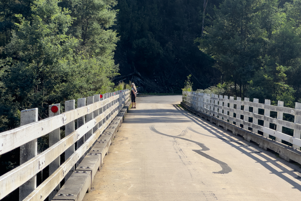 Wir stehen auf der Tayatea Bridge uns schauen auf den Arthur River hinab