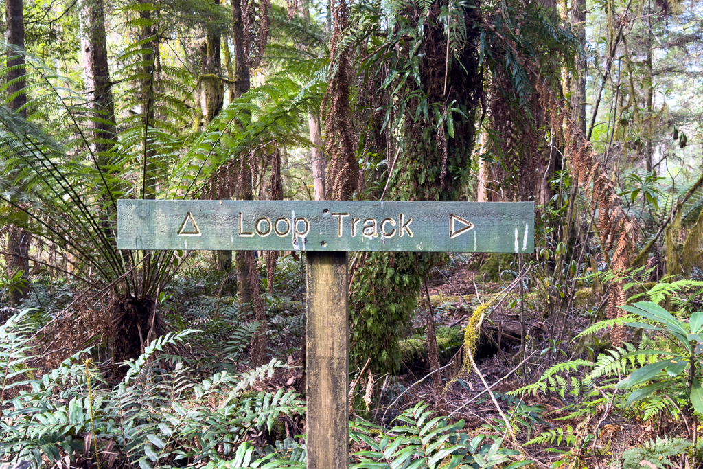 Loop Track, der Rundweg am Lake Chisholm