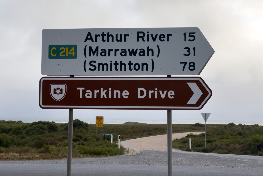 Da gehts lang: Tarkine Drive!