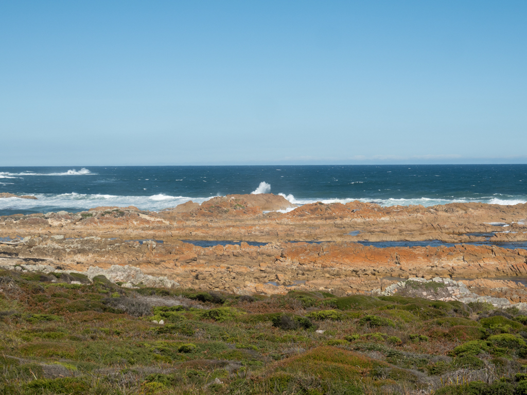 Rötliche, felsige Küste beim Bluff Hill Point bei Ebbe