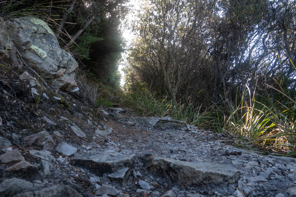 Der kurze, etwas steile und gut verdeckte Weg zur South Cave - einer Aboriginal Site