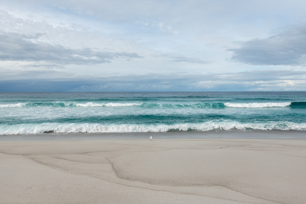 Von der kommenden Flut völlig unbeeindruckt steht diese einsame Möwe am weiten und leeren Strand