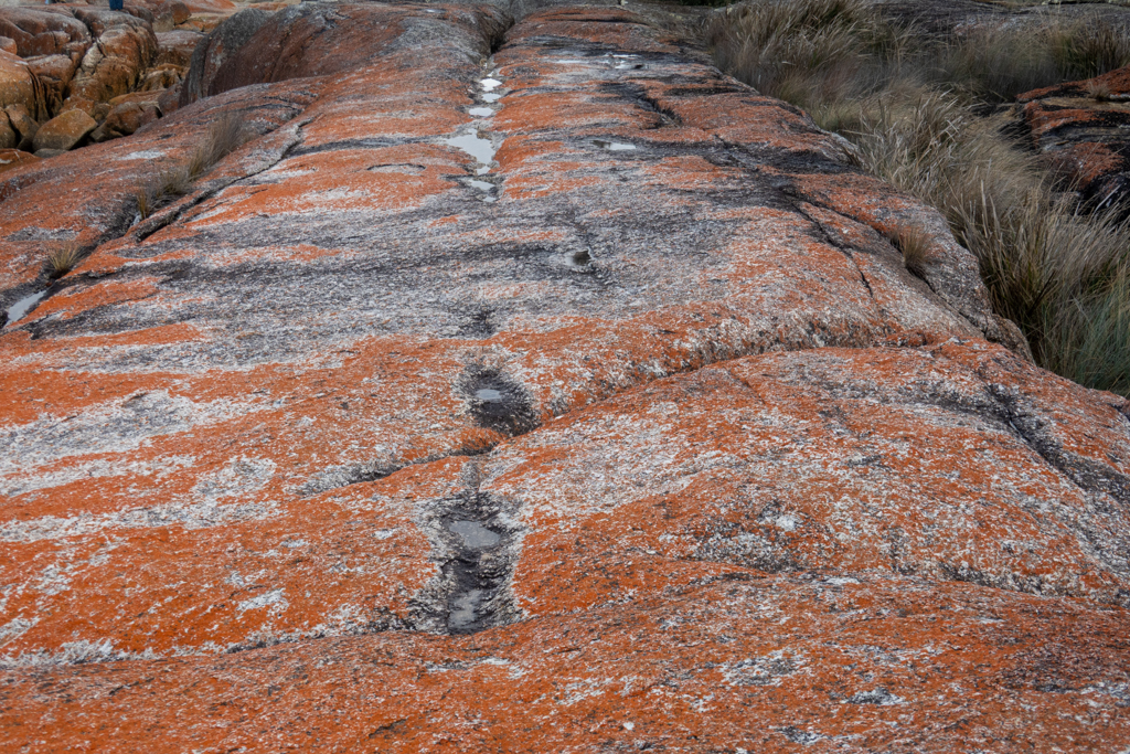 Nahaufnahme von einem der vielen mit roten Flechten bewachsenen Granitfelsen