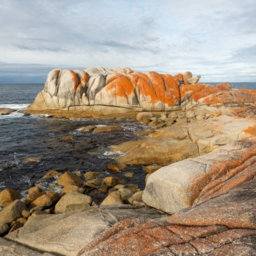 Bay of Fires, Sightseeing with “Locals”