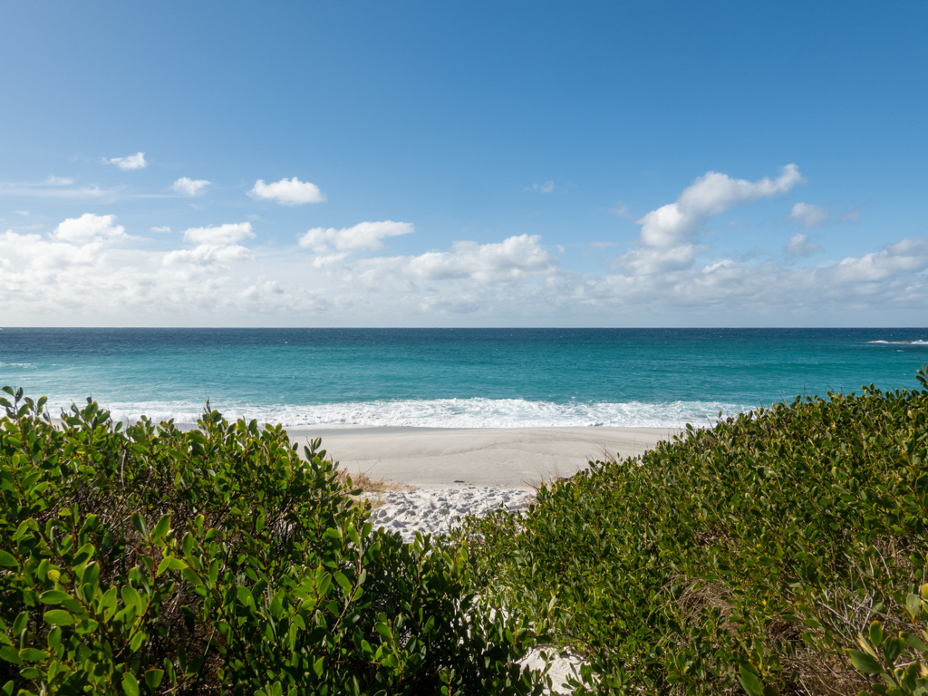 Blick durch das grüne Gebüsch auf die weisse Cosy Bay mit blauem Meer und weitem Himmel darüber