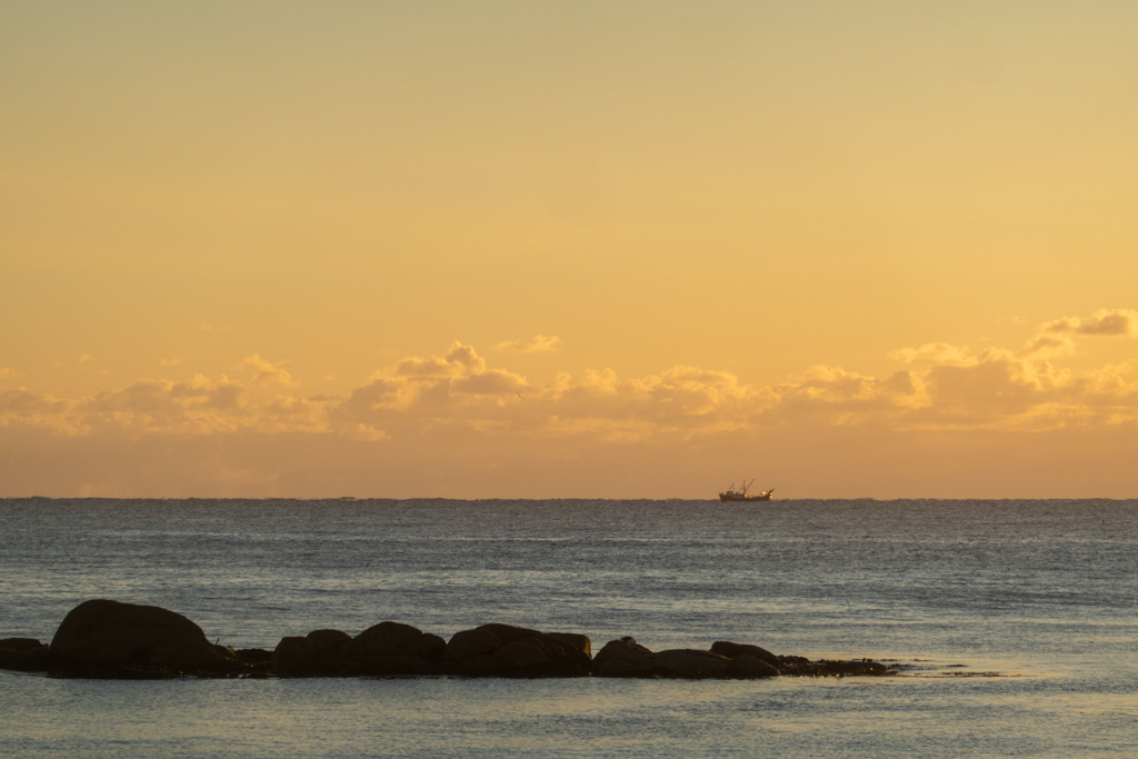 Ein Frachtschiff ist am frühen Morgen am Horizont zu sehen
