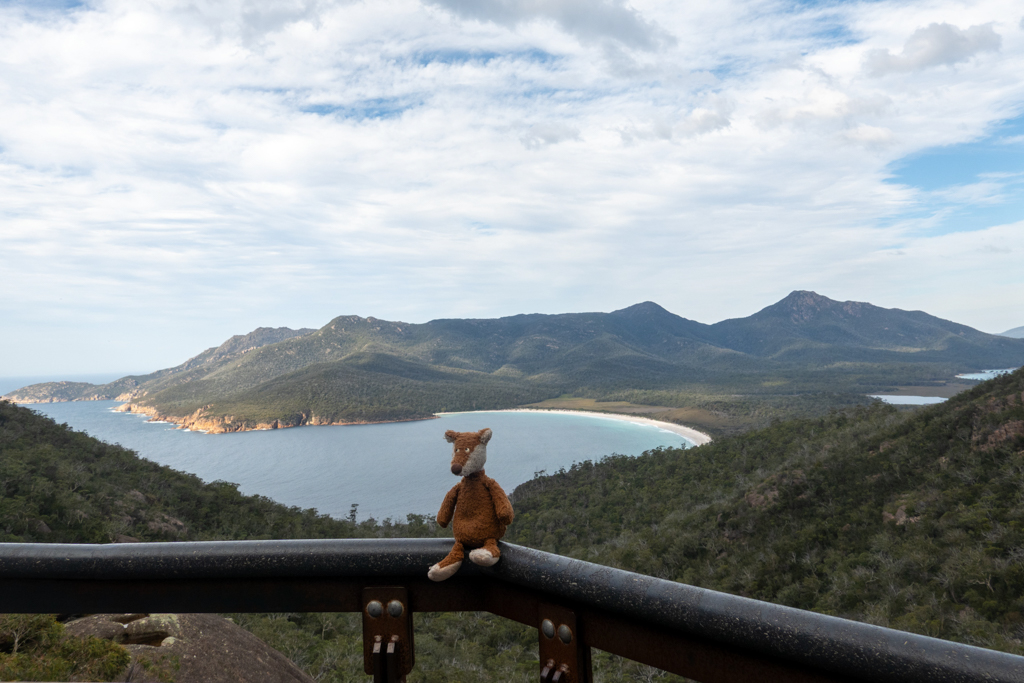Auch Mo ist am Lookout zur Wine Glass Bay angekommen :-)