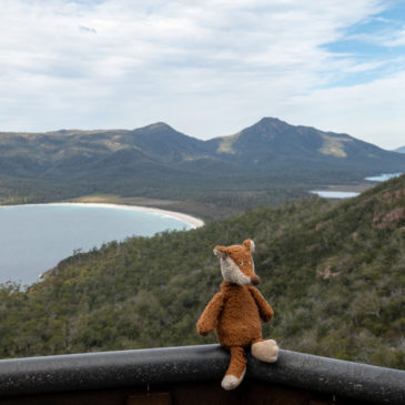 Wineglass Bay im Freycinet Nationalpark