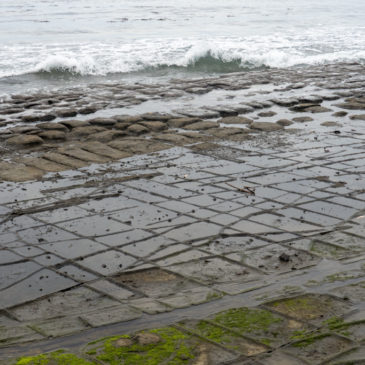 Tessellated Pavement, Tasman Peninsula