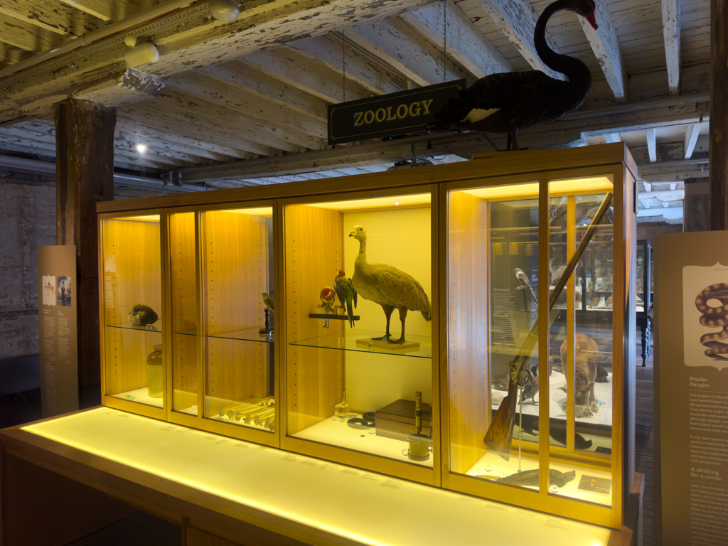 Eine etwas ernüchternde Ausstellung ausgestopfter Tiere die es hier auf Tasmanien leben..