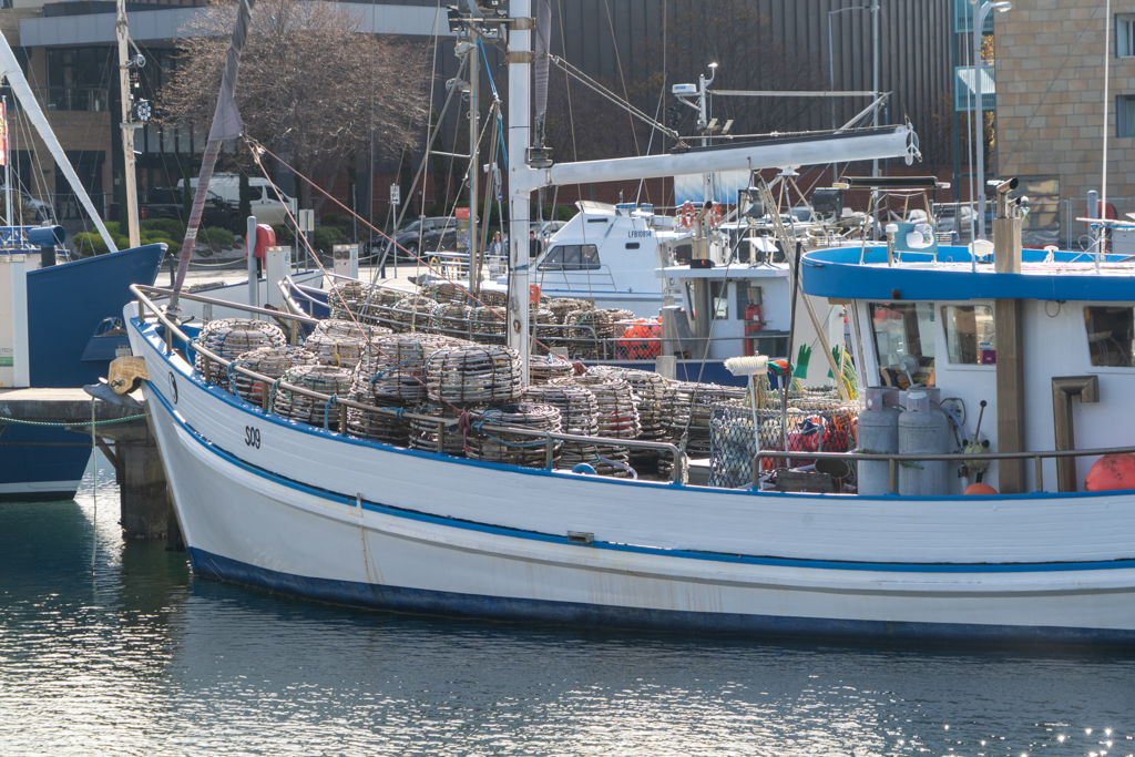 Diese beiden kleineren Fischkutter warten mit ihren leeren Reusen auf den nachten Fang im Hafen von Hobart
