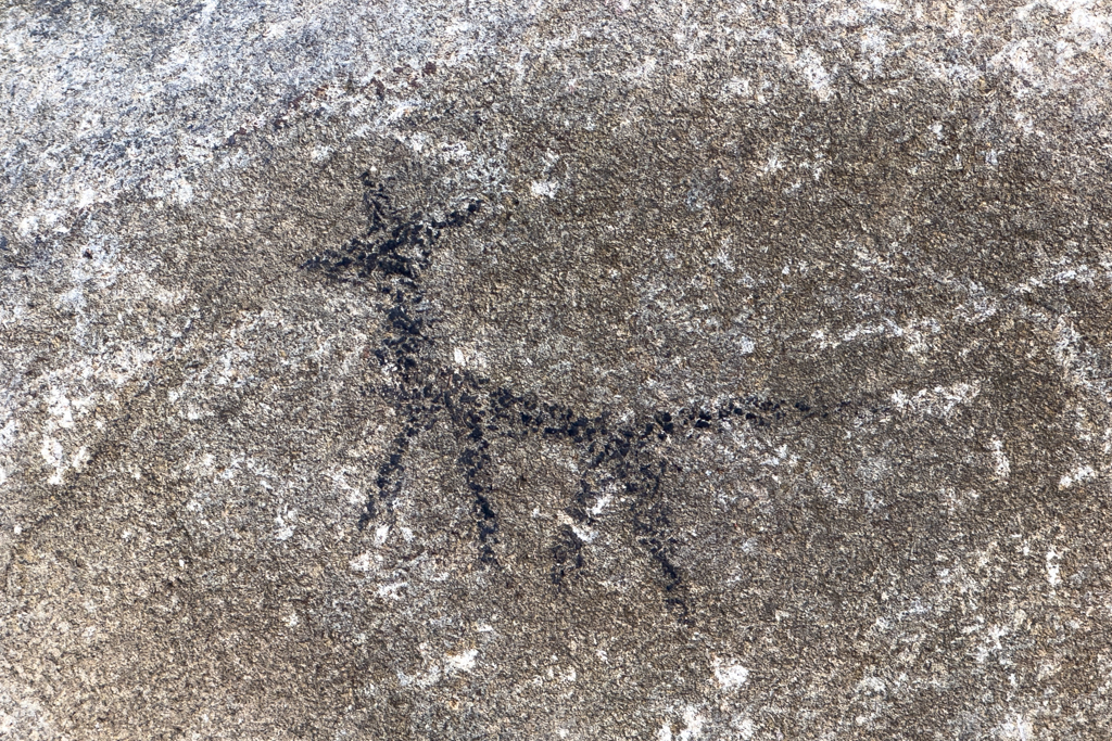 Keine Aborigines Kunst, aber auch ganz auch ganz nett und lustig