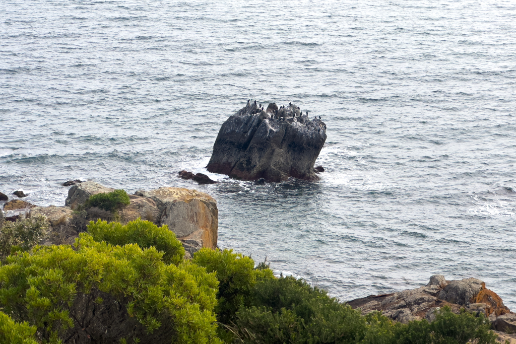 Kormorane haben sich diesen kleinen Felsen in der Bucht als Ruheort auserkoren