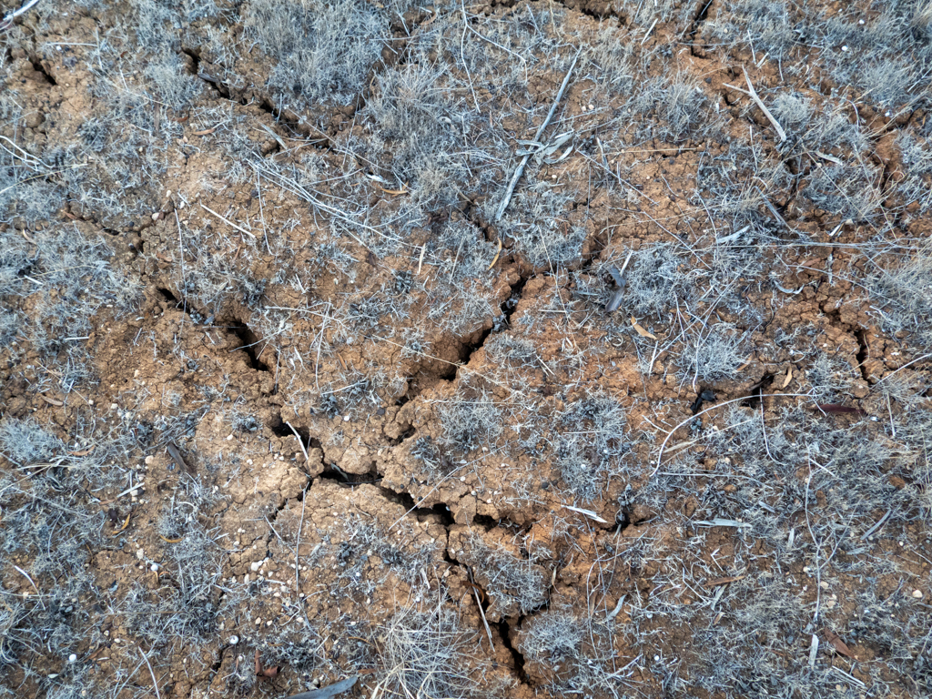 Risse im ausgetrockneten Boden; der Regen wird händeringend herbeigesehnt