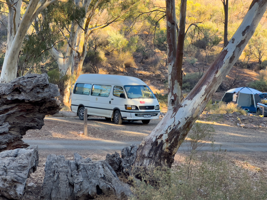 Unser Stellplatz unter grossen Eukalyptusbäumen im Mambray Creek Campground