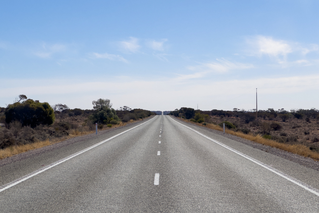 Der Stuart Hwy: Eine endlose Strasse mit wechselnder Vegetation liegt vor uns