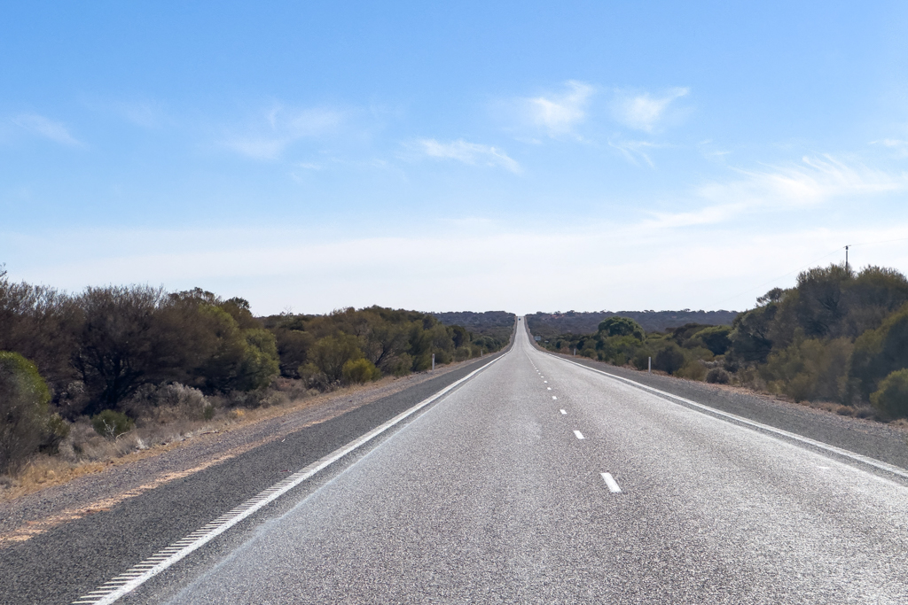 Der Stuart Hwy: Eine endlose Strasse mit wechselnder Vegetation liegt vor uns