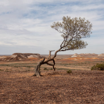 Coober Pedy & Breakaways Reserve