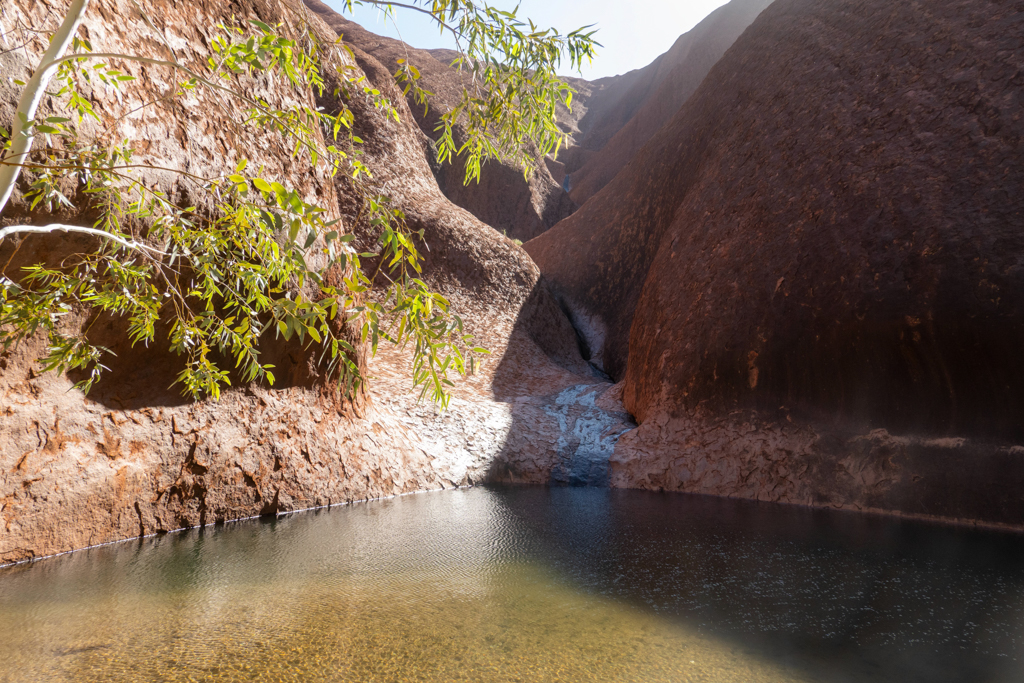 Das Wasserloch am Uluru hat sich nach den ergiebigen Regenfällen der letzten Tage gut gefüllt. Es läuft noch ein kleines Rinnsal herab